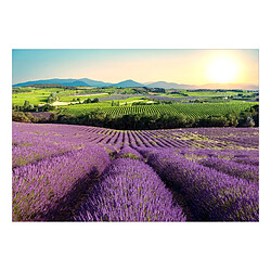 Artgeist Papier peint - Lavender Field [200x140]