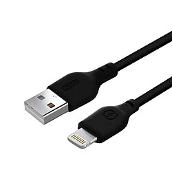 Avizar Câble USB vers Apple Ligthning Recharge et Synchronisation Longueur 1.10m - Noir