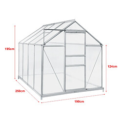 Helloshop26 Serre de jardin à porte coulissante 250 x 190 cm en polycarbonate 4,75 m² 03_0008252