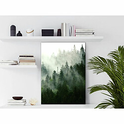 Paris Prix Tableau Imprimé Coniferous Forest 40 x 60 cm