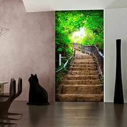 Paris Prix Papier Peint pour Porte Stairs From Nature I 210x100cm