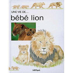 Bébé Lion - Occasion