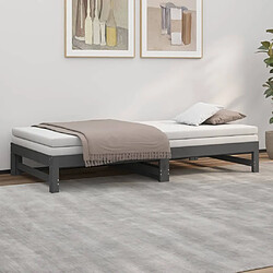 Avis vidaXL Lit coulissant sans matelas gris 2x(90x200) cm