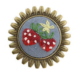 Avis Broche Point De Croix Broderie Starter Kit Needlework Craft Strawberry