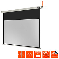 Ecran de projection celexon Motorisé PRO 300 x 169 cm pas cher