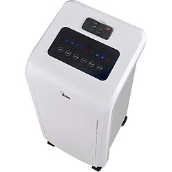 Avis Ardes AR5R11 refroidisseur évaporatifs Refroidisseur d'air évaporatif portable