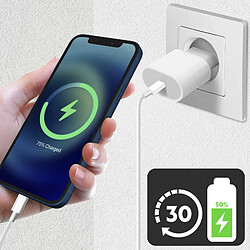 Acheter Chargeur Secteur USB-C 20W + Câble Lightning Power Delivery Original Apple Blanc