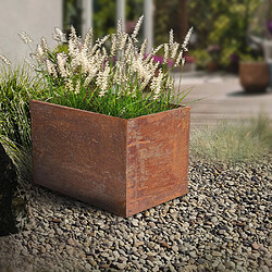 Esschert Garden Jardinière en acier corten rouille 58 x 38 x 38 cm.