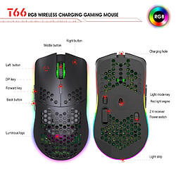 Yonis Souris Gaming Sans Fil Rechargeable RGB