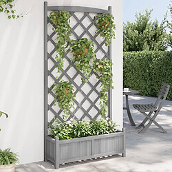 Maison Chic Jardinière,Bac à fleurs avec treillis - pot de fleur gris bois massif de sapin -GKD53522