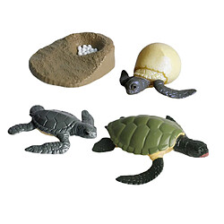 Avis 4pcs Miniature Tortue De Mer Simulation Modèle Cycle De Croissance D'animaux Classiques