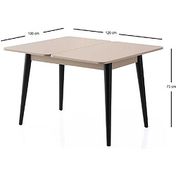 Acheter Hanah Home Table de repas extensible Dolunay noir, mocha.