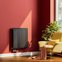 EMKE Radiateur eau chaude horizontal en acier H.60 × L.59,4 cm 969 W Le design Chauffage central anthracite