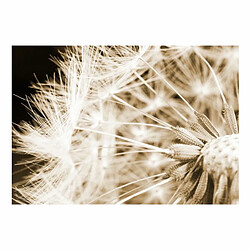 Paris Prix Papier Peint Dandelion Sepia 105 x 150 cm