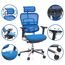 Avis Siège de bureau / Fauteuil de direction ERGOHUMAN tissu maille bleu hjh OFFICE