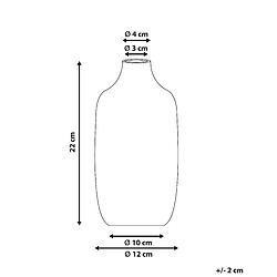 Avis Beliani Vase à fleurs AENUS fait à la main Céramique 22 cm Blanc