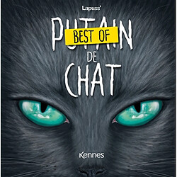 Best of Putain de chat