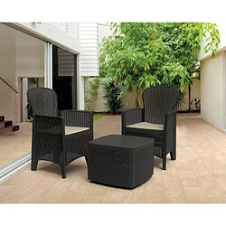 Avis SALON DE JARDIN TREE EXTERIEUR 2 FAUTEUILS AVEC COUSSIN ET TABLE COFFRE SALON POUR JARDIN ET TERRASSE EN PLASTIQUE FAUTEUIL 52X58X90CM TABLE BASSE 54X54X40CM+Sunnydays