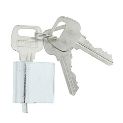 Cylindre de serrure de porte de forme ovale pour porte coupe-feu de sécurité cylindre en aluminium