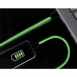 Paris Prix Câble Micro USB Phosphorescent 200cm Vert