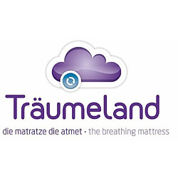 Acheter Traumeland - T030307 - Matelas pour Poussette - Wash - 78 x 36 cm