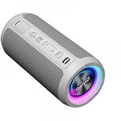 General Haut-parleur Bluetooth portable amélioré avec un son plus puissant de 16 W, XBass exceptionnel, égaliseur de livre audio, 16 heures de lecture, étanche IPX6, couplage Bluetooth 5.0 TWS, haut-parleur portable pour le camping à la plage (gris argenté)