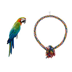 Anneau de cercle de cercle de jouet d'oiseau d'oscillation de corde de coton résistant à la morsure pour animaux de compagnie