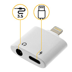 Acheter Avizar Adaptateur Charge Audio Prise iPhone iPad iPod Prise Jack 3.5mm Femelle Blanc