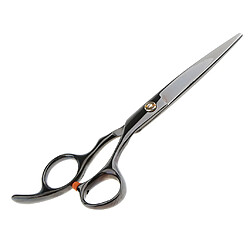 Ciseaux de coupe de cheveux professionnel en acier inoxydable ciseaux coiffure 6.5 "" pas cher