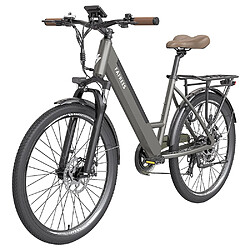 Avis Vélo électrique de ville FAFREES F26 Pro 26'' Moteur 250 W 25 km/h Batterie amovible intégrée 36 V 14,5 Ah Shimano 7 vitesses Gris