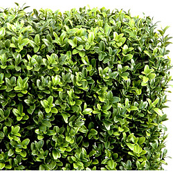 Avis Pegane Plante artificielle haute gamme Spécial extérieur/Buis artificiel Haie de structure en métal coloris vert - Dim : 100 x 25 x 100 cm