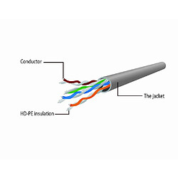 Câble Gembird UTP Cat6 de 3 mètres de couleur bleue