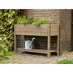 Carré potager en bois marron L - Esschert Design