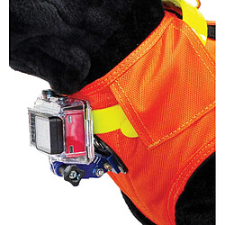 Acheter Gilet de signalisation pour chien CaniHunt Flash V2