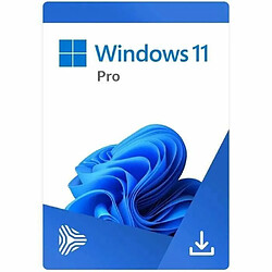 Windows 11 PRO