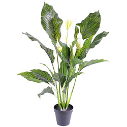 Pegane Plante artificielle haute gamme Spécial extérieur / SPATHIPHYLLUM Artificiel - Dim : 80 x 50 cm