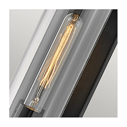 Avis Elstead Lighting Applique murale extérieur Hinkley Aluminium,laiton,verre transparent Noir texturé