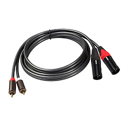 Câble Double XLR vers RCA