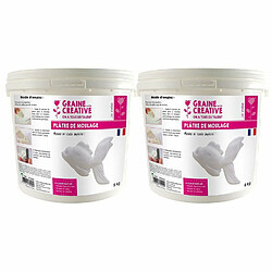 Graines Creatives Plâtre de moulage 10 kg