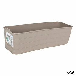 Organisateur Confortime Jano 27 x 9 x 7,5 cm (36 Unités) (27 x 9 x 7,5 cm)