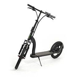 Avis Trottinette Électrique Youin YOUIN SCOOTER ELECTRIC 2XL Noir 350 W