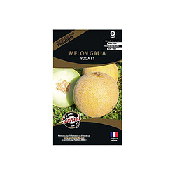 Sanrival Graines potagères premium melon Galia Yoga