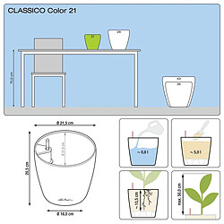 Classico Color 21 - kit complet, muscade Ø 21 x 20