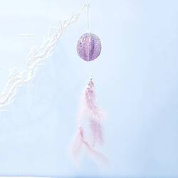 Wewoo 2 PCS Girl Powder Feather Bubble Pendentif Creative Décoration d'arbre de Noël balle ronde