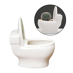 Pot de fleurs succulentes statues de toilette vase ornement