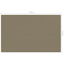 Acheter vidaXL Tapis de tente 250x400 cm Taupe