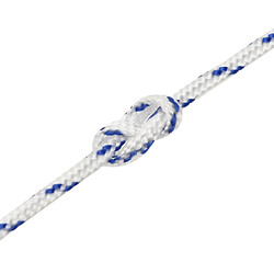 Acheter vidaXL Corde de bateau Blanc 2 mm 500 m Polypropylène