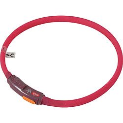 ZOLUX Collier lumineux pour chiots Bivouak rouge.