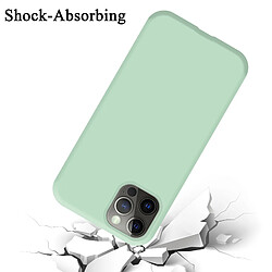 Acheter Cadorabo Coque iPhone 13 MINI Etui en Vert