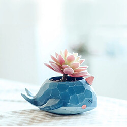 Avis Wewoo Pot de fleur Belle Maison Jardin Bureau Résine de Bande Dessinée Animal Baleine En Forme de Plante Décoration Flower Pots Jardinière